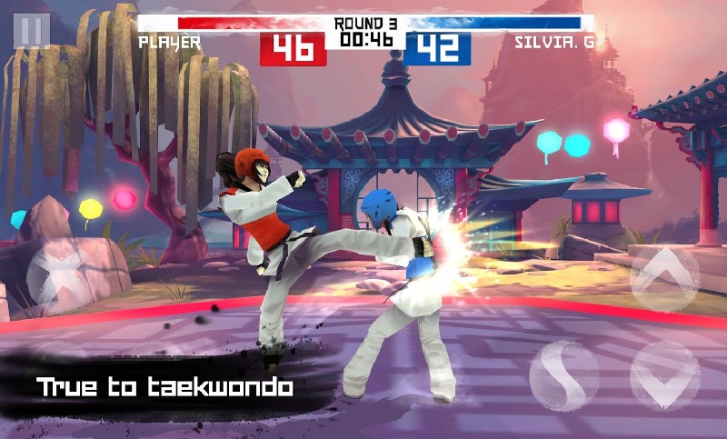 Taekwondo Game APK MOD imagen 5